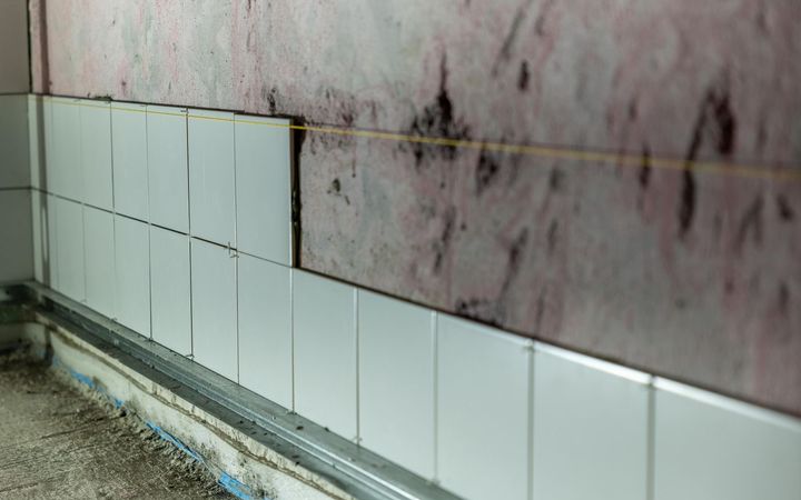 Tile wall with water stains and mold above the tile line
