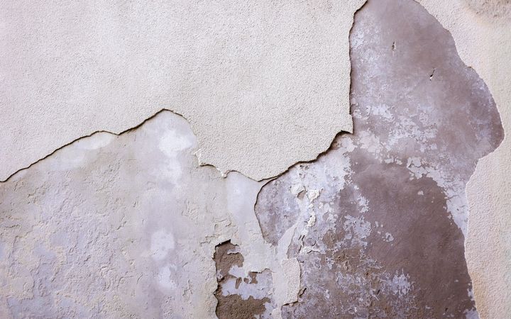 Finish coat of old plaster peeling away from the rough base coat