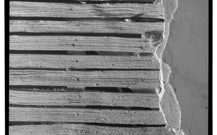 Old plaster broken back to show the split wood lath behind it